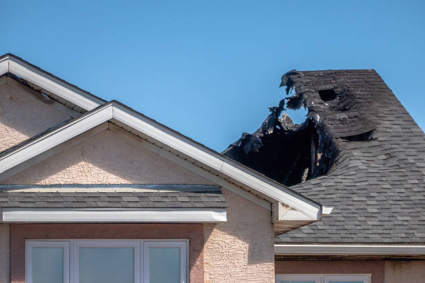 Licensed Content Restoration service in National Park, NJ - Fire Damage Biloxi
